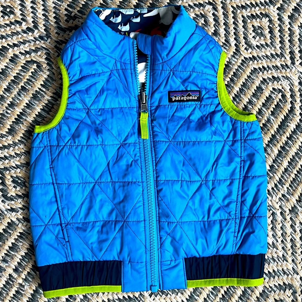 Patagonia Vest